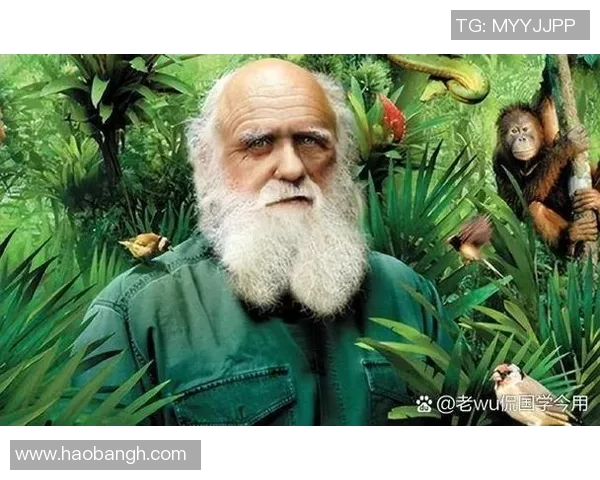 萨林杰的文学世界探索与其影响力的深远分析