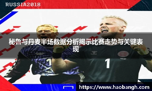 秘鲁与丹麦半场数据分析揭示比赛走势与关键表现