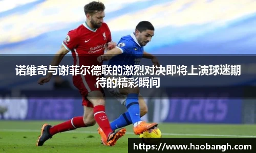 诺维奇与谢菲尔德联的激烈对决即将上演球迷期待的精彩瞬间
